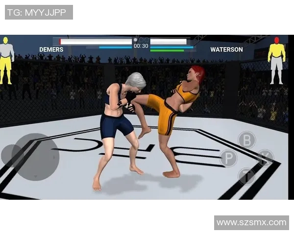 探索vs格斗网的魅力与挑战，揭开格斗游戏的竞技世界新篇章